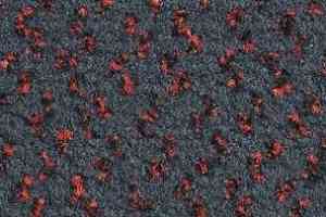 Ковролин Balsan Impression Roll 996 фото  | FLOORDEALER
